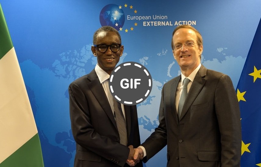 Nigeria and EU Collaborate to Combat Cybercrime and Protect Against Foreign Information Threats – EmpireTech